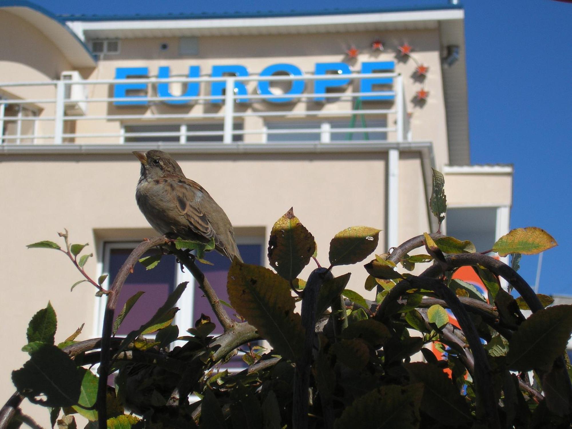 Europe Guesthouse Narva Exteriér fotografie